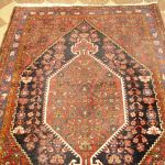 848 2495 ORIENTAL RUG